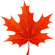 maple leaf